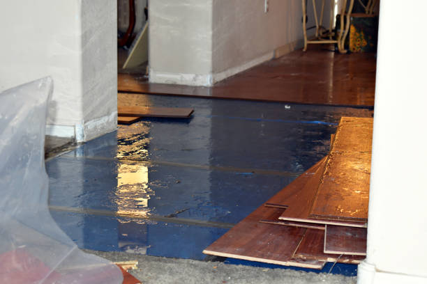 Professional Basement Flood Cleanup technician working in Woodstock, NH